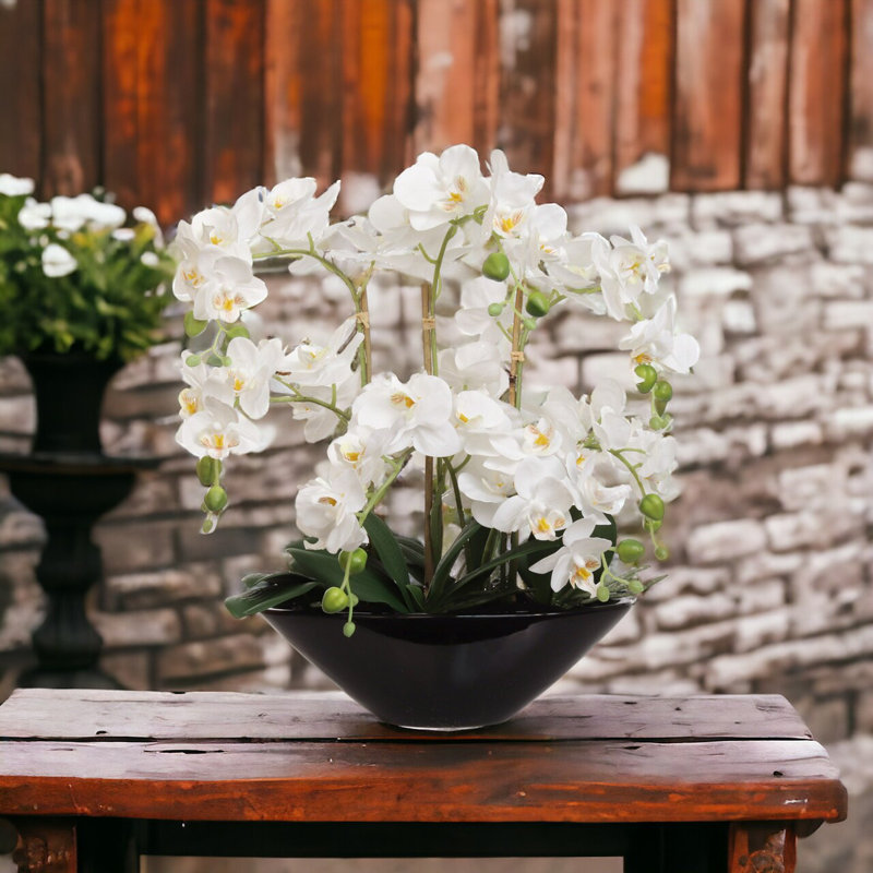 Fleurs d'orchidées blanches 18 po Phalaenopsis dans un vase en céramique noire