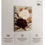 Impression sur toile Antique Linen II par Art Remedy-119978737-123843296