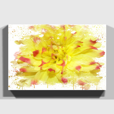Red and Yellow Flower - Wall Art