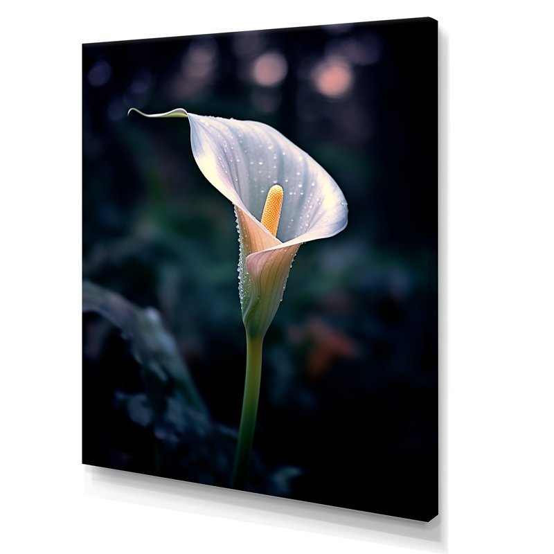 Calla Lily Moonlight Magic sur toile, Toile tendue, H 20 po x l 12 po x P 1 po