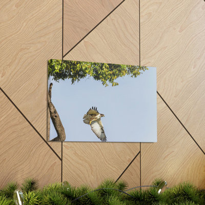 Buzzard Hunting Buzzard on Hunt Print Animal Wall Art
