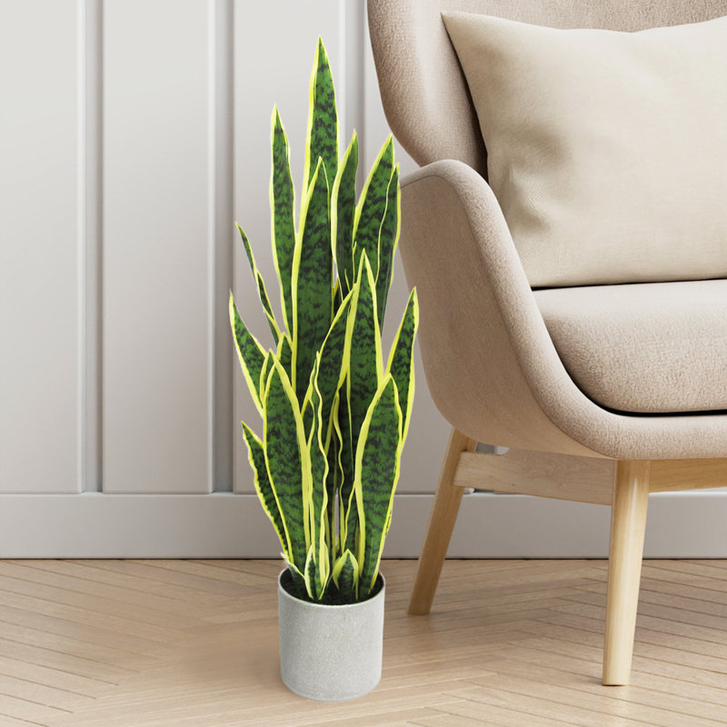 Artificial Sansevieria Snake Plant in Pot, 36'' H x 12.5'' W x 12.5'' D
