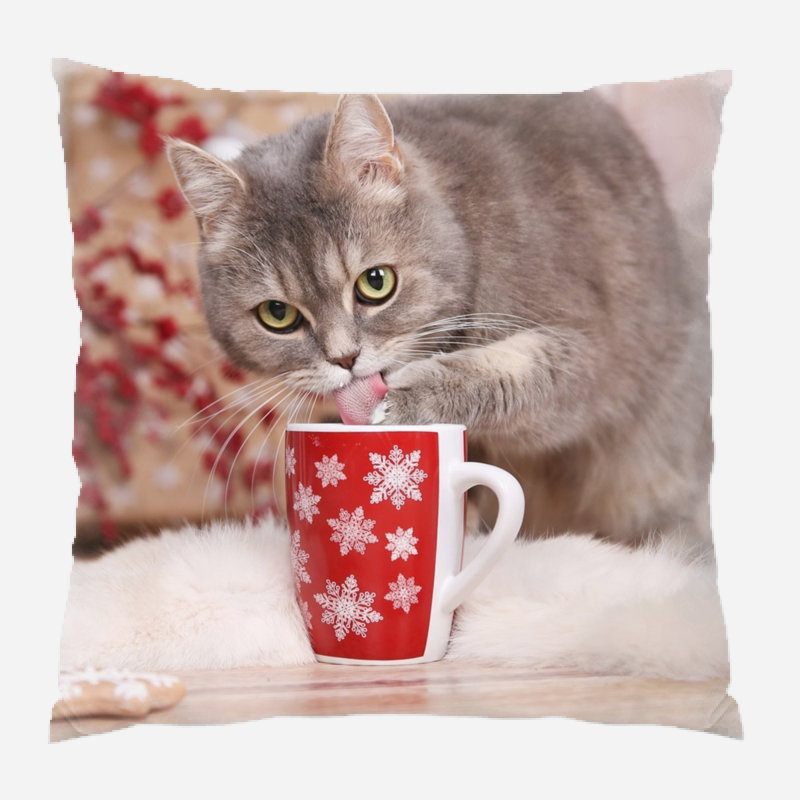  Coussin Cat