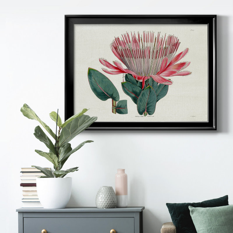 Protea N17 - Peinture sur toile encadrée, Cadre noir, H 30,5 po x l 42,5 po x P 1 po