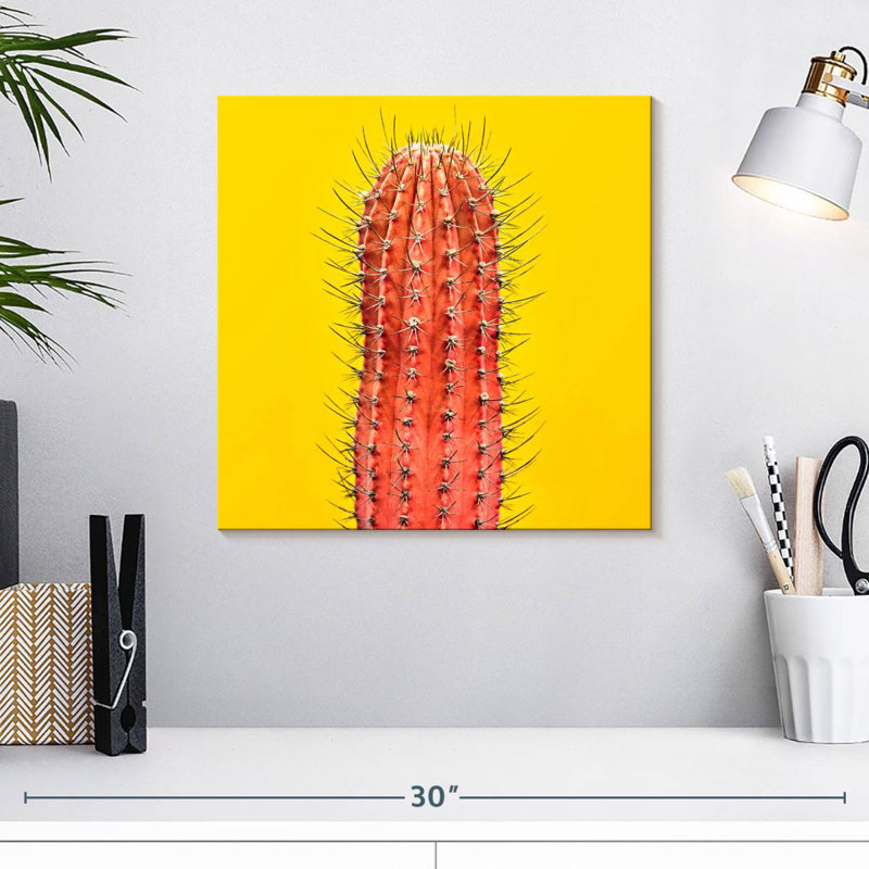 Harnek Orange Cactus, 16" H x 16" W