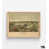 Tan Framed Print without Mat is unavailable