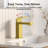 Bathroom Faucet with Drain Assembly-92363206