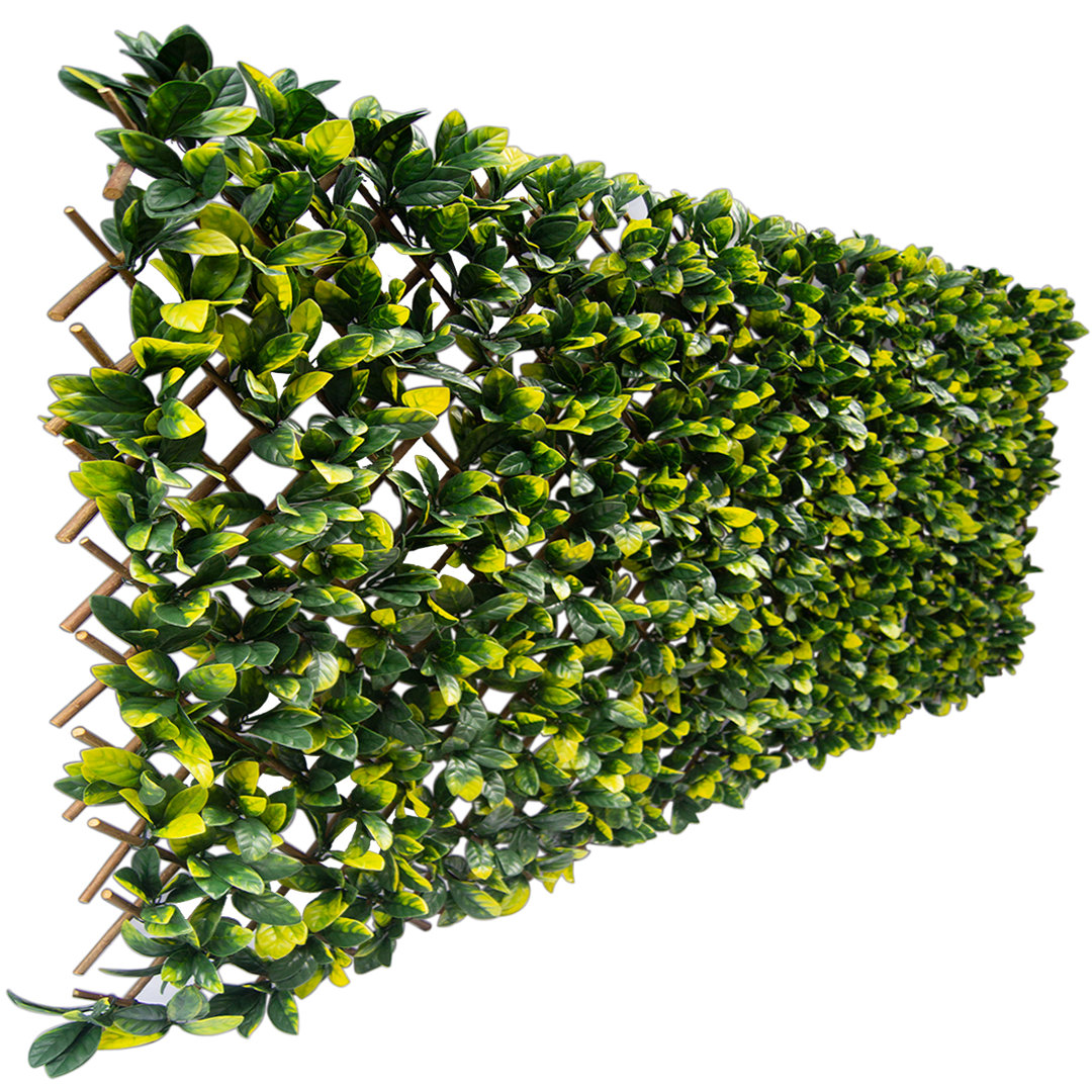 Peter 30'' H x 98'' W Wood Trellis Primrue