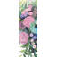 Mélodie de fleurs fuchsia - rose