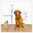 42.9'' H Metal Floor Candlestick