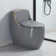 One-piece Chair Height Toilet With 1.6 GPF Single Flush,  Floor Mount Elongated Toilet With Soft Close Seat