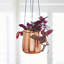 Iron Hanging Planter-110956617