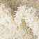 Eginhardt Shag Pure Ivory Area Rug