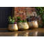 Leonard Metal Pot Planter