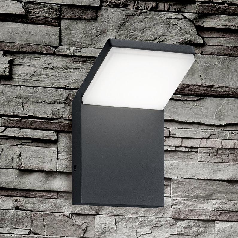 Edzard LED Outdoor Sconce