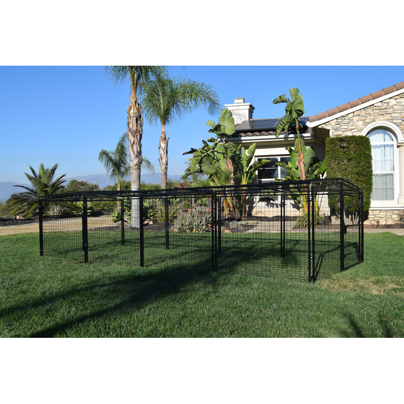 Metal Coop With Extension Combo
