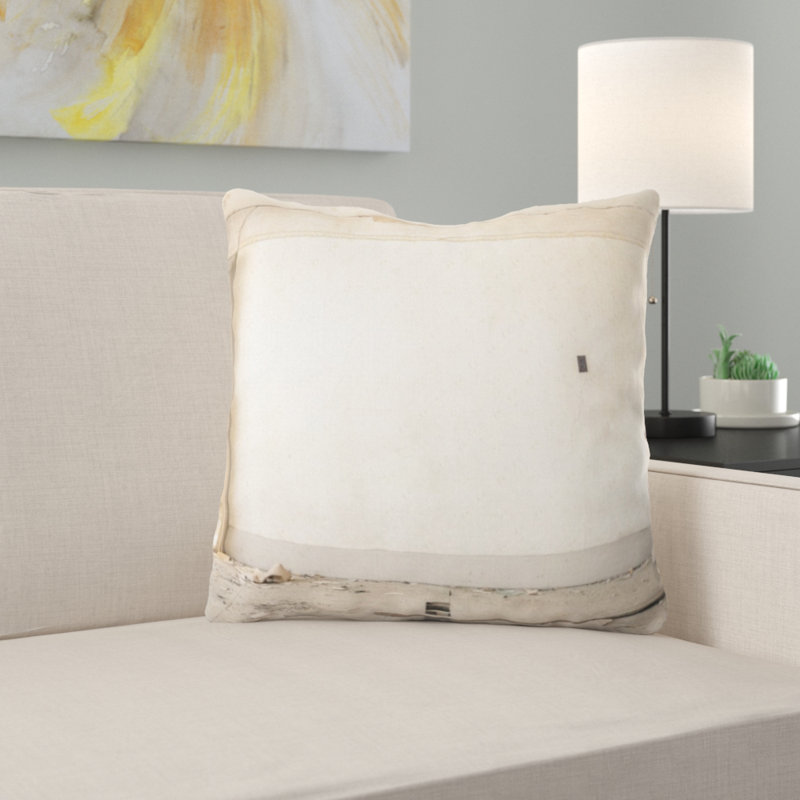 Coussin dilapidated