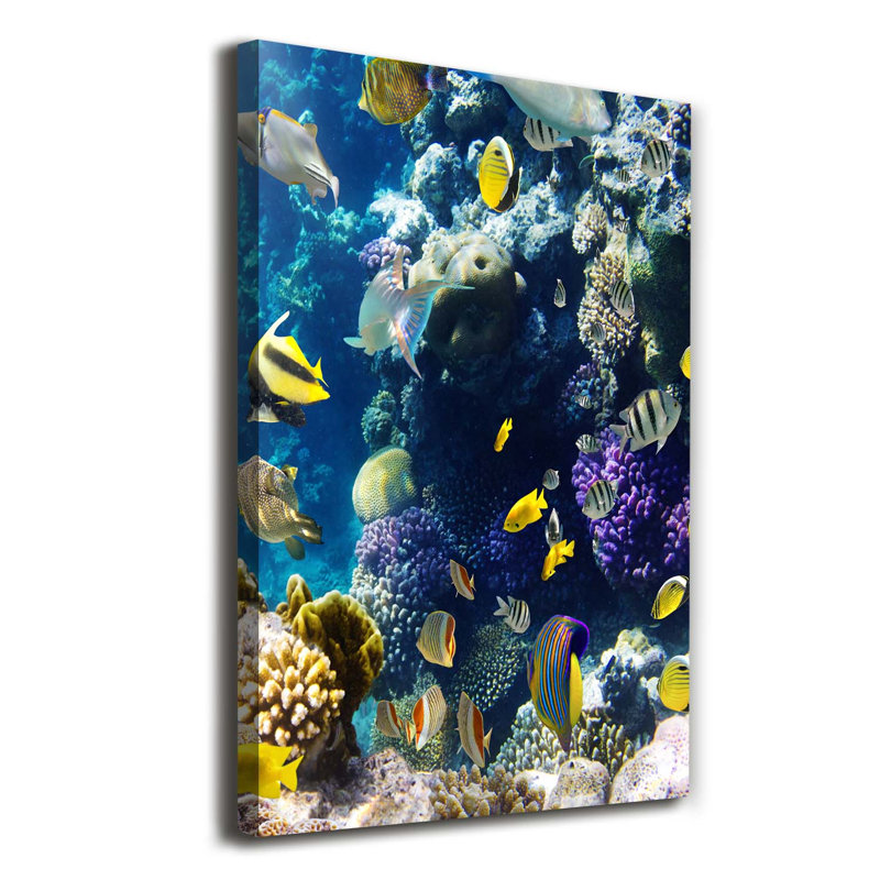 Coral Reef - Wrapped Canvas Print