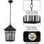 Luminaire suspendu d'extérieur 12,2 po câblé-100015660