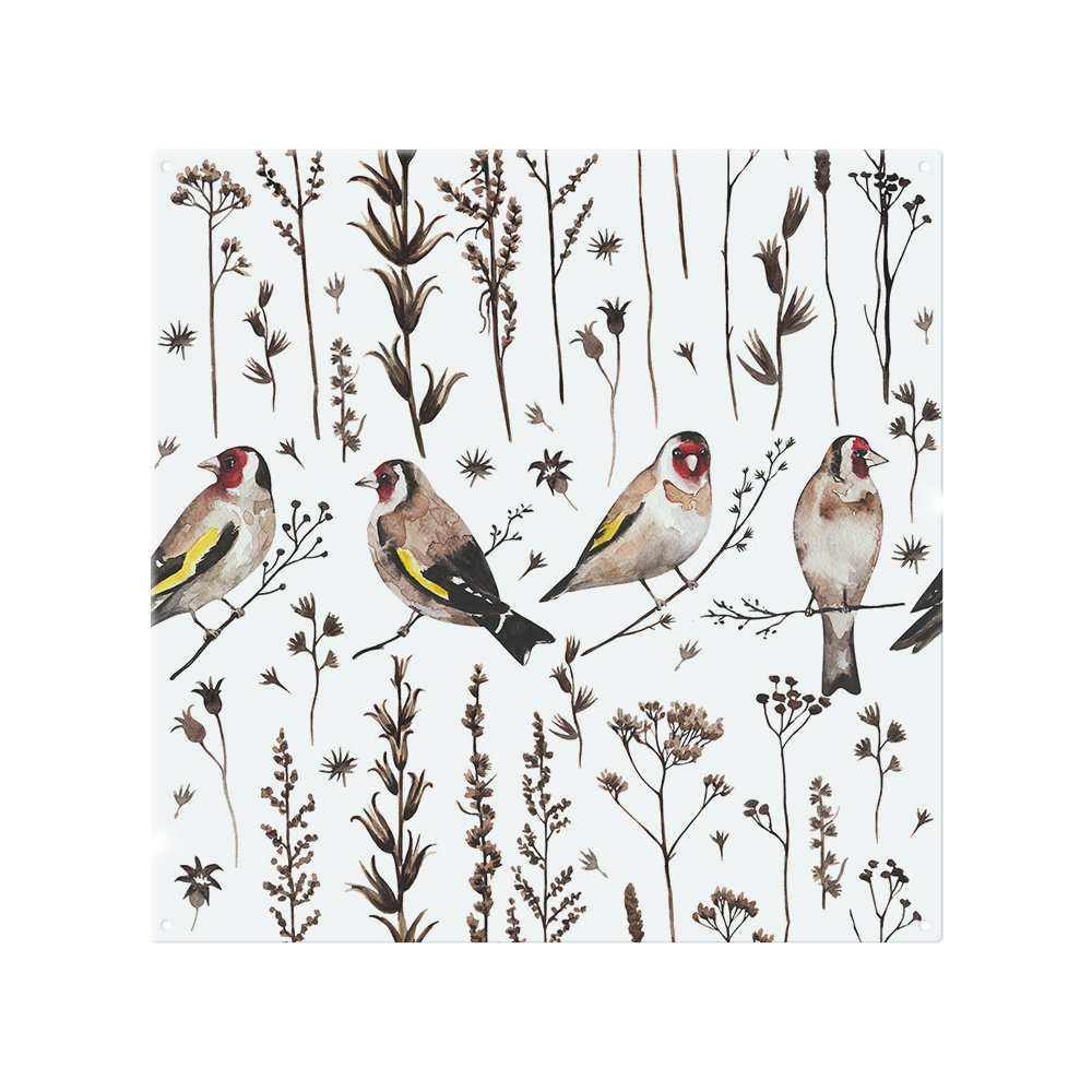 Goldfinches And Autumn Dry Plants Splash Back