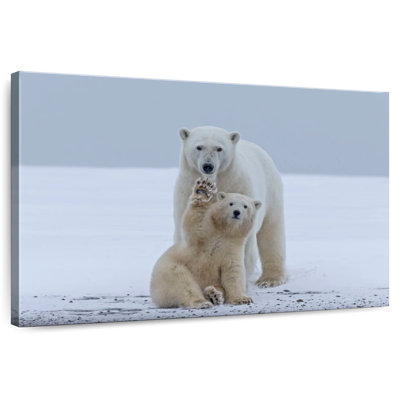 Brampt Polar Bear Waving