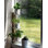 Étagère de rebord pour fenêtre à 3 niveaux pour plantes d'intérieur | Support à plante amovible en bois massif et en verre avec attaches autoagrippantes | Conception conviviale pour une installation facile