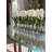 10 " Faux in Glass Planter