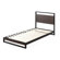 Robb 37" Low Profile Bamboo and Metal Platform Bed
