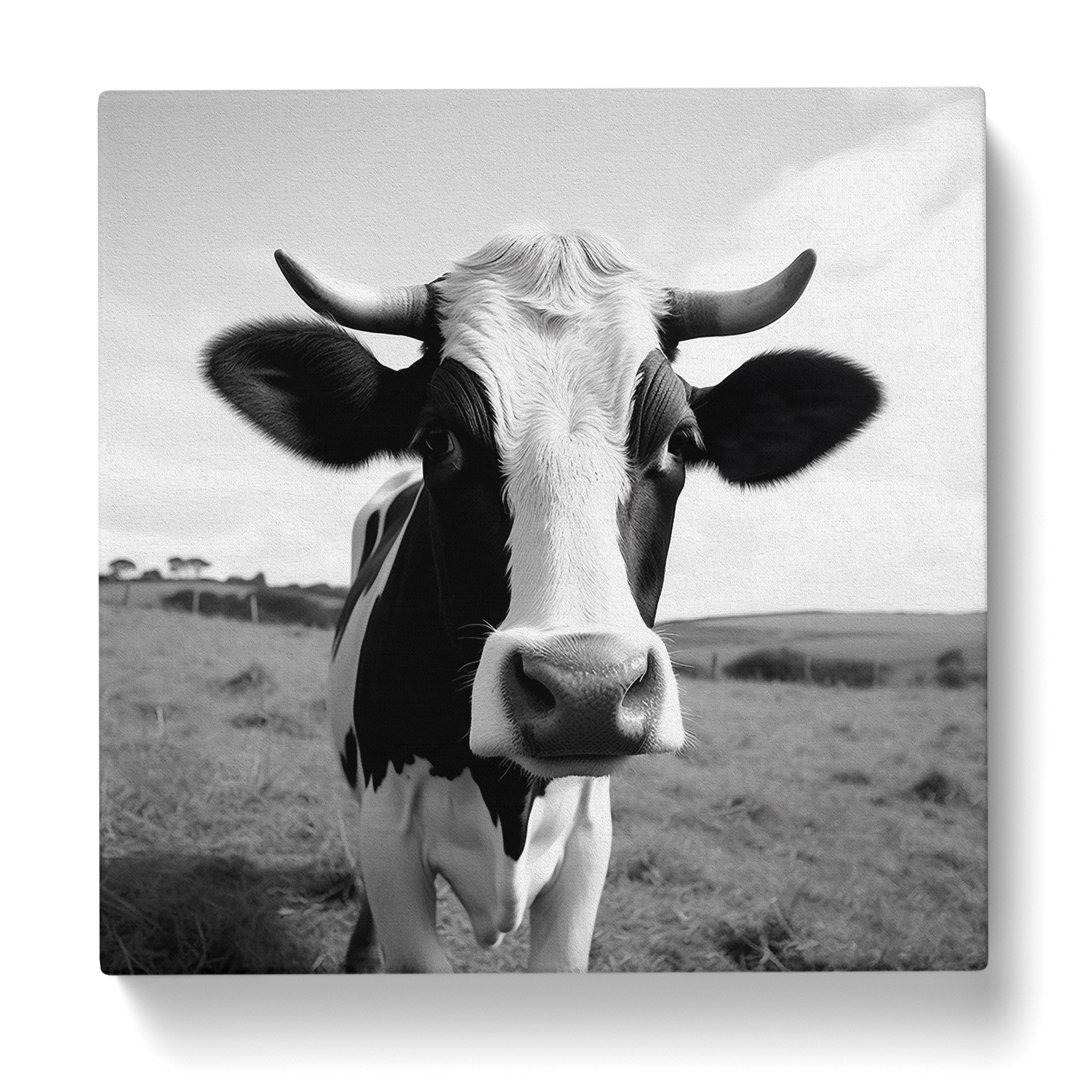 Cow Photograph - Wrapped Canvas