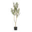 Arbre d'olive artificiel-114197428