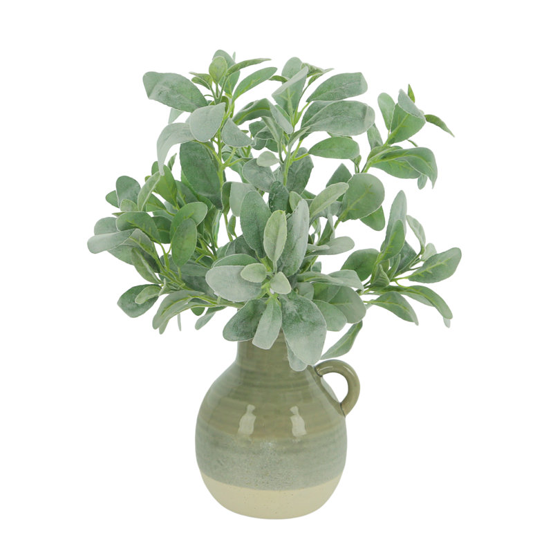 Lamb's Ear In A Ceramic Vase
