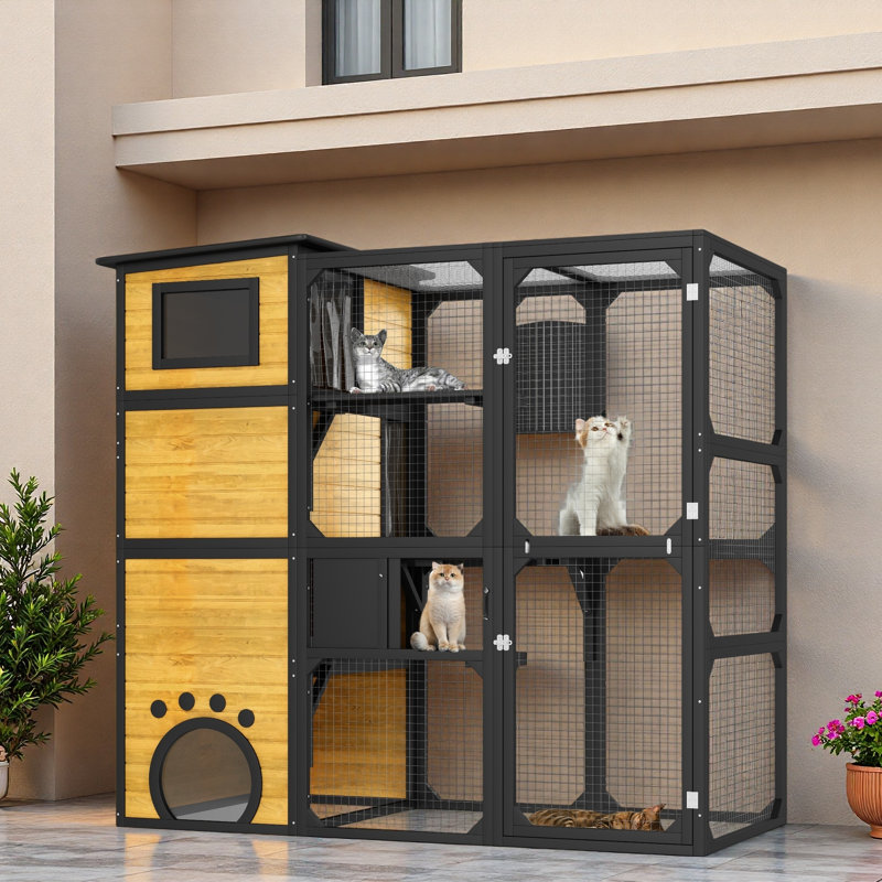 Maison d'extérieur pour chat avec plateformes et salles de repos