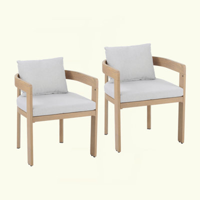 Aluminum Dining Chair, Finished Frame With Cushion, Set Of 2 by Hokku Designs