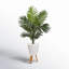 61'' Faux Palm Tree in Earthenware Planter