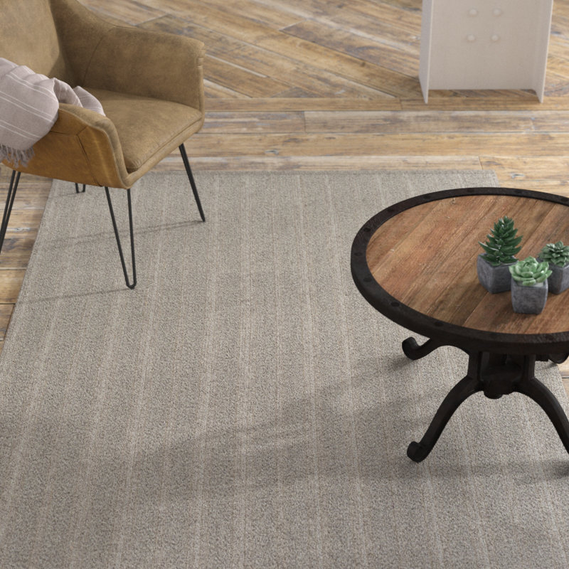 Tapis taupe tissé à la main Philip, Rectangle 4 pi x 6 pi