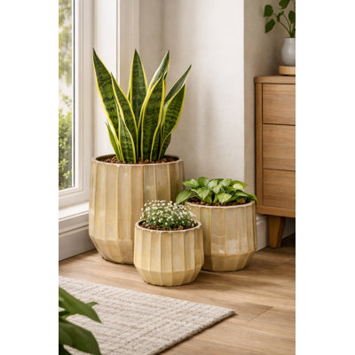King Plntr Set Of 3 A,B,C