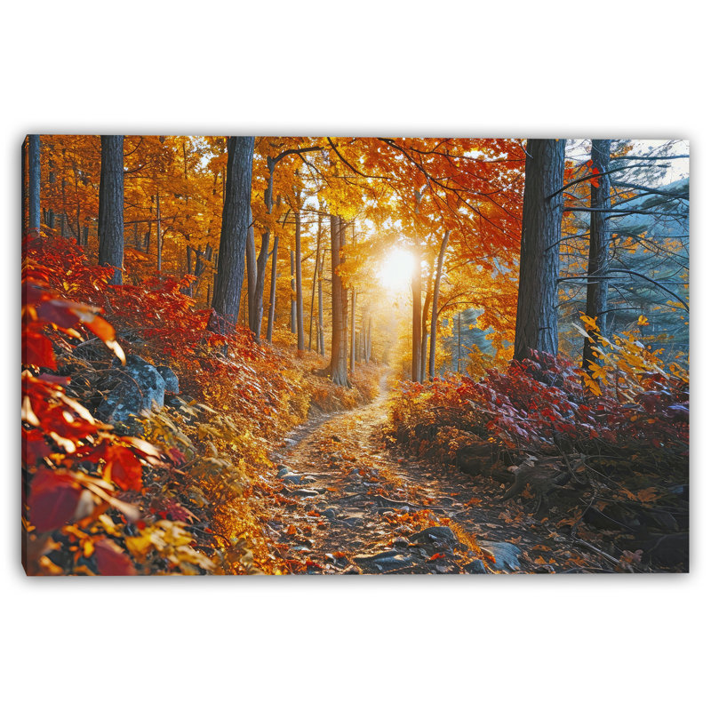 Art mural sur toile Sunlit Forest Trail, H 12 po x l 16 po