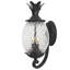 Lanterne murale d'extérieur à 2 ampoules H 18 po Arlesey-23586383