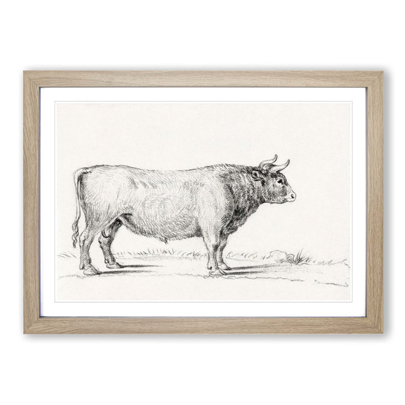 Standing Bull by Jean Bernard - Picture Frame Drawing Print, 36cm H x 48cm W x 2cm D, Oak Framed