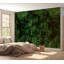 Adhésif mural botanique pelez et collez Odion - texture forêt foncée-106363256
