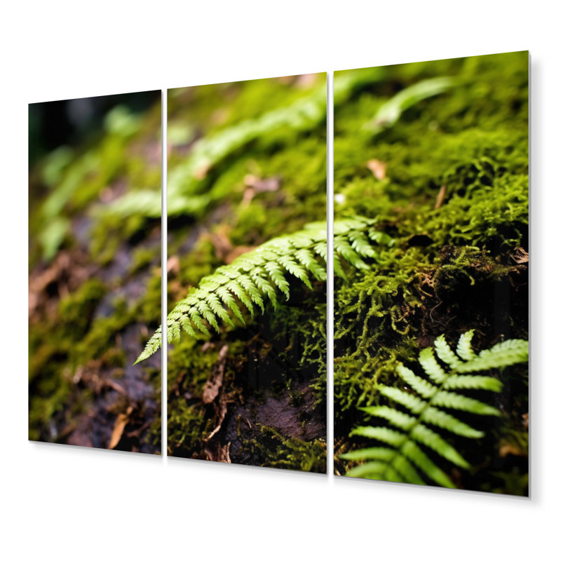 Farmhouse Plants & Flowers Wall Decor on Metal