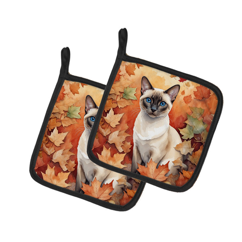 Paire de poignées pour chat Colorpoint Shorthair