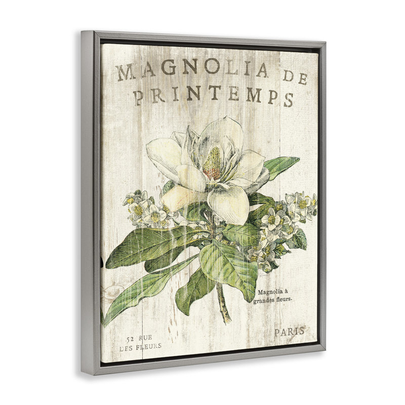«French Magnolias in Spring», art mural sur toile flottante par Sue Schlabach, H 31 po x l 25 po, Cadre flottant gris lustré