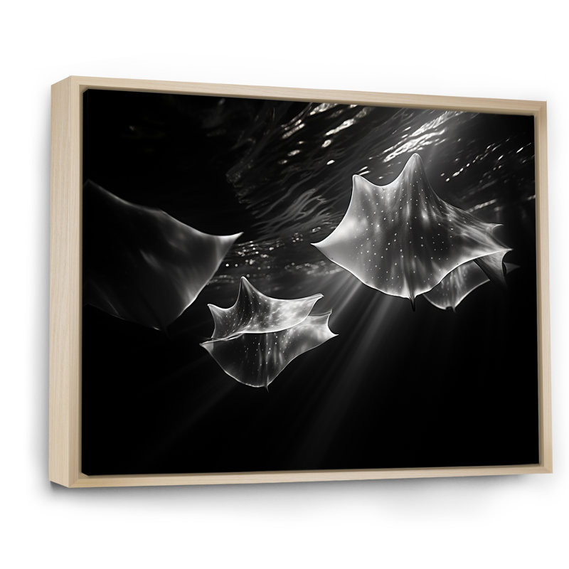 Under Water Abstract Manta Dance sur toile, H 24 po x l 32 po x P 1 po, Cadre naturel flottant