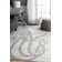 Silver/Gray Area Rug