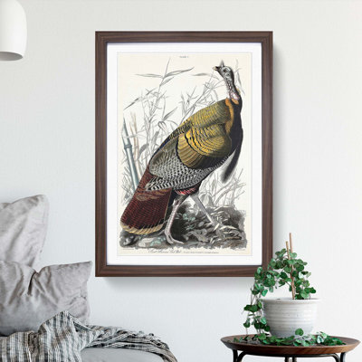 Wild Turkey by John James Audubon - Framed Print