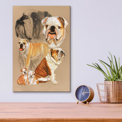 " English Bulldog " by Barbara Keith