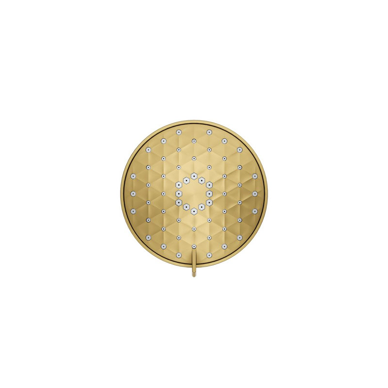 Awaken G110 1.75 Gpm Multifunction Showerhead, Vibrant Brushed Moderne Brass