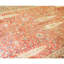 Hand Knotted Wool Area Rug in Red