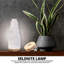 Himalayan Glow Selenite Crystal Lamp 20cm Large, Hand-Curved Crystal Lamp with Wooden Base - White